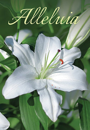 HAPPY EASTER EVERYONE!