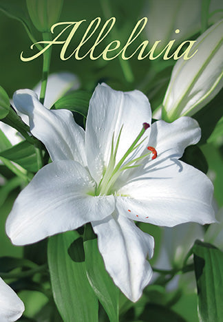 HAPPY EASTER EVERYONE!