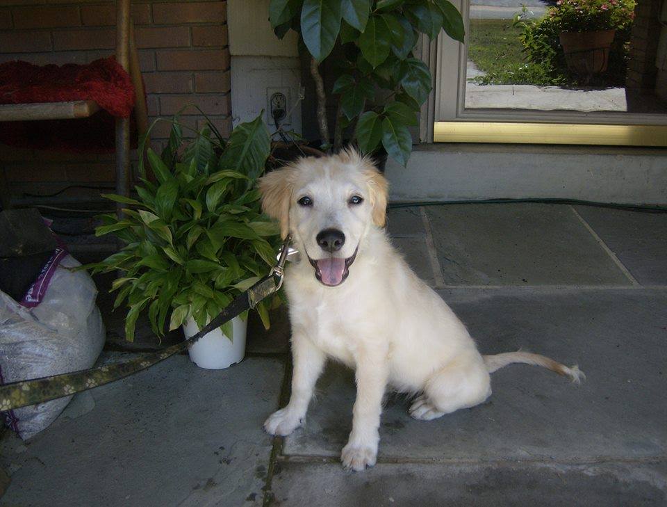 Remembering Our Dear Murph